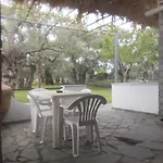 Apartment Karapataki