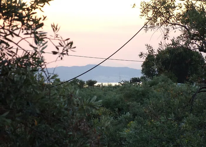 Karapataki アパート *